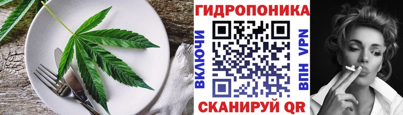 купить закладку  Беломорск  blacksprut как зайти  Еда ТГК марихуана 