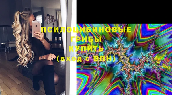 эйфоретик Горнозаводск