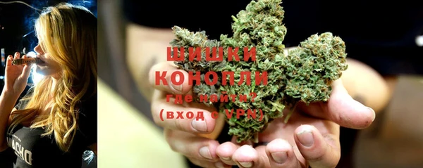 соль ск Касимов