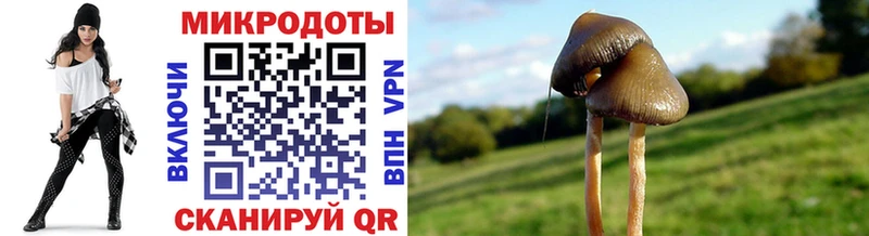 Галлюциногенные грибы ЛСД  Беломорск 